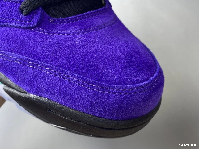 136027-500 Retro Jordan Air Alternate 5 Grape 0804